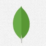 MongoDB